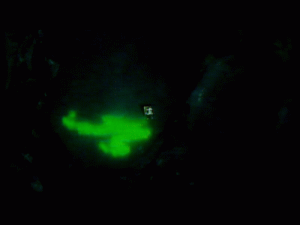 doc0324.gif